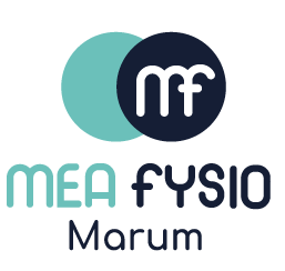 logo_meafysio_marum_trans